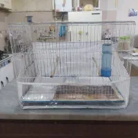 قفس پرنده با وسایل