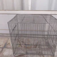 دو عدد قفس قناری و مرغ عشق و ...