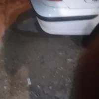 جارو برقی خودرو