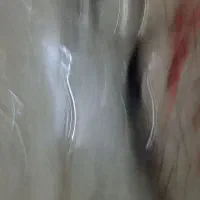 دوچرخه ۲۶ و۲۴|دوچرخه، اسکیت، اسکوتر|تربت‌حیدریه, پائین ولایت|دیوار