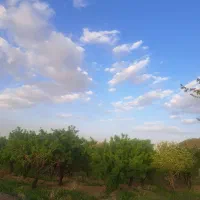 مزرعه کشاورزی