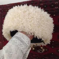 تلپک ترکمنی