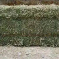 پرس یونجه