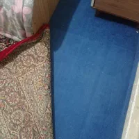 موکت پالاز