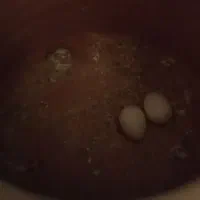 کوتوله برزیلی با تخم|پرنده|زاهدان, |دیوار