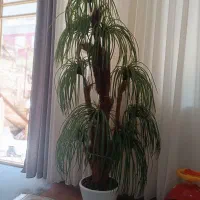 درخت نخل  مصنوعی نو