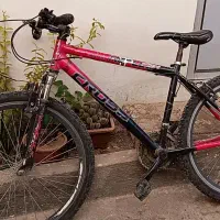 دوچرخه بزرگ کوچک