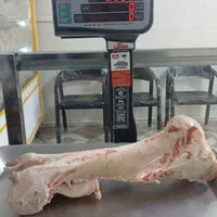 گوشت شتر مغز کوهان شیر ارگانیک شتر|خدمات پذیرایی، مراسم|رباط‌کریم, منجیل آباد|دیوار