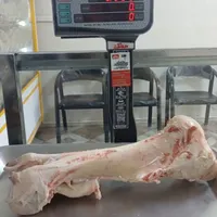 گوشت شتر مغز کوهان شیر ارگانیک شتر|خدمات پذیرایی، مراسم|رباط‌کریم, |دیوار