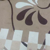 دو تخته فرش درحدنو نقش برجسته|فرش|بافق, |دیوار