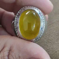 شرف الشمس