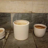 گلدان سرامیکی در سازهای مختلف|گل و گیاه طبیعی|تهران, تهرانپارس جنوبی|دیوار