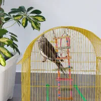 دوعدد عروس هلندی با قفس|پرنده|اهر, |دیوار