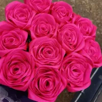 فروش گل روبانی|گل مصنوعی|رامهرمز, |دیوار