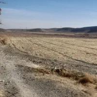 زمین کشاورزی سند دار