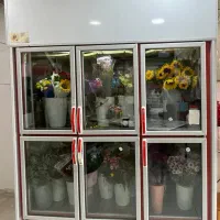 یخچال ویترینی ۶ درب