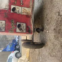 چرخ|فروشگاه و مغازه|تهران, شهرک طالقانی|دیوار