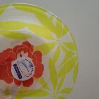 سرویس ۲۵ پارچه اصل سرویس لومینارک فرانسه اصل