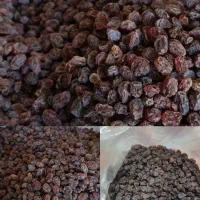 کشمش ارگانیک