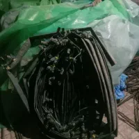 پلاستیک گلخانه یکسال کار درحد