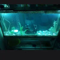 بخر قیمت خوب گذاشتم ضرر نمیکنی