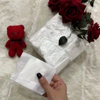 پدروزانه کاور دار و پد روزانه بدون کاور ۵۰ تایی