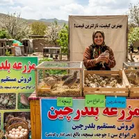 فروش بلدرچین