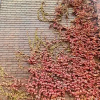 مشاوره ، طرح ، مدیریت پیمان ، ساخت