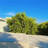 یک عدد ویلا همراه هزار متر باغ بفروش میرسد