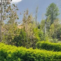 ۹۸۰ متر زمین خوش‌قواره سیسنگان/۴ تا پلاک