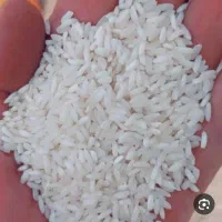 برنج چمپا درجه یک ۹۰کیلو