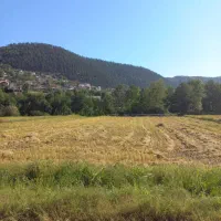 فروش زمین کشاورزی ۱۱۰۰ متر، زیراب سوادکوه