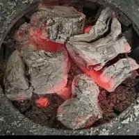 ذغال انگور سنتی صنعتی برش خورده سفره‌خانه کبابی