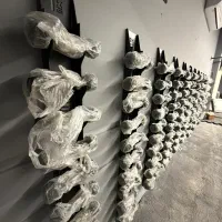 آگهی استخدام نیروی خدمات باشگاه فرنام (ویژه بانوان|استخدام خدمات فروشگاه و رستوران|مشهد, کوه سنگی|دیوار