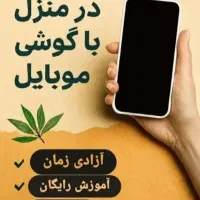 فرصت طلایی برای درآمدزایی درخانه