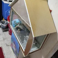 اکواریوم|لوازم جانبی حیوانات|شیراز, کوشک میدان|دیوار