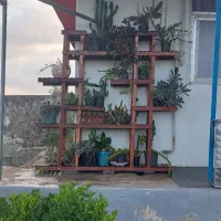 استندگل سالم و تمیز