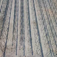 تیرچه موردتایید نظام مهندسی و بنیاد مسکن