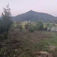 زمین ۱۵۰۰ متری با پروانه پرداخت اقساطی