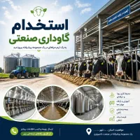 کارشناس علوم دامی جهت کار در گاوداری صنعتی