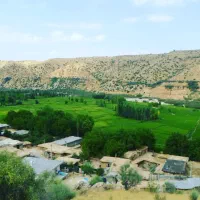 زمین ابی|فروش زمین و ملک کلنگی|شیراز, زرهی|دیوار