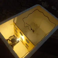 دو عدد دستگاه جوجه کشی معاوضه دارم با همه چیز