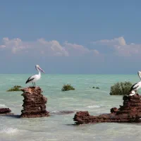 تور کیش.قشم.مشهد.شیراز.کربلا