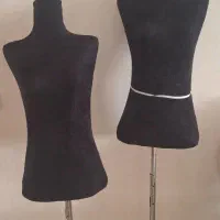 مانکن سوزن خور