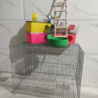 پرنده