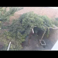 اجاره روزانه