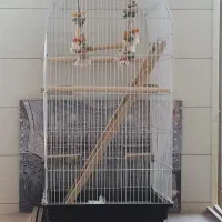 قفس بزرگ (با قابلیت ۲ قفس شدن)