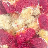 طلای سرخ زعفران زیرکوه قاینات