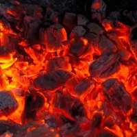 زغال|عمده‌فروشی|فسا, |دیوار