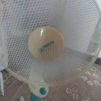 پنکه